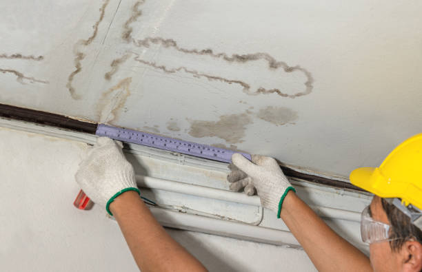 Reliable Water Damage Repair contractor in New Market, VA by Aqua Guard Water Damage